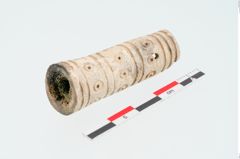 Foto von Beingriff (NHMW-PRAE-024936)